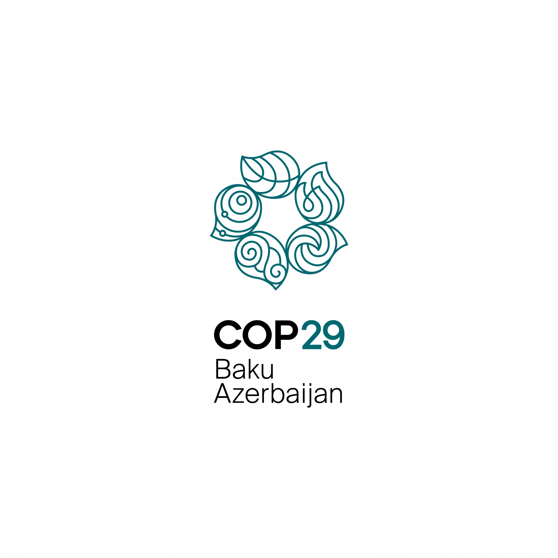 COP29